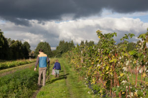 LIVING IN ENGLAND FARM SHOPS